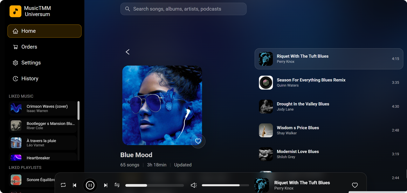 MusicTMM Universum web player with curated playlists and queue